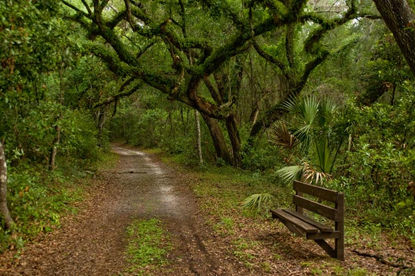 Hiking Trails in Tampa