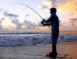 How to Catch Striped Bass From Shore